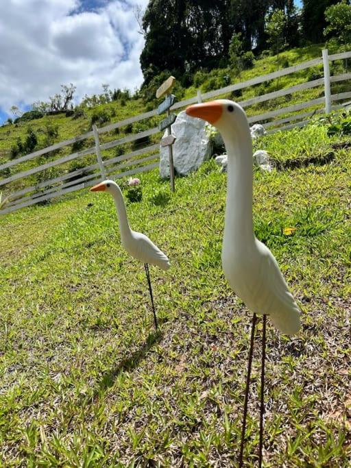 Sitio Vale Das Pedras Alfredo Wagner Eksteriør bilde